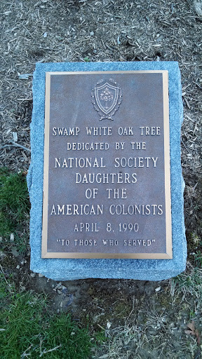 Swamp White Oak Memorial