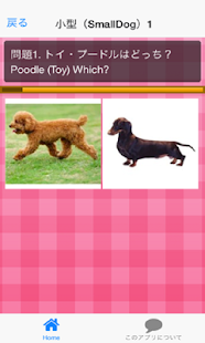 How to download Dog breedQuiz 1.2.0 mod apk for android