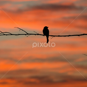 by Kris Kessinger - Uncategorized All Uncategorized