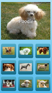 How to install dogs barking  sound effects patch 1.2 apk for pc