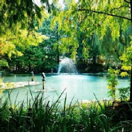 菁芳園 Tenway Garden／花園餐廳／落羽松