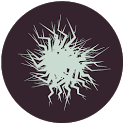 PolyFauna icon