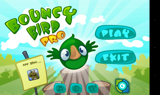 Bouncy Bird Pro