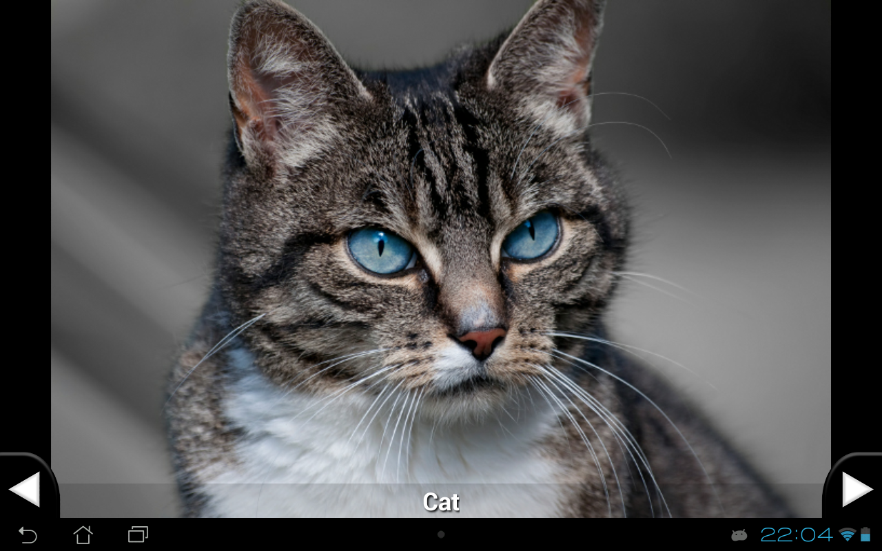    Toddler Animal Sounds- screenshot  