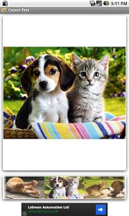 How to download Cutest Pets patch 1.0 apk for bluestacks