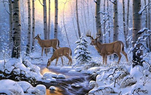 Deer Wallpaper Screenshots 7
