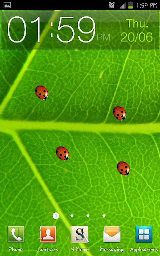 免費下載個人化APP|Ladybugs Live Wallpaper app開箱文|APP開箱王