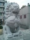 China Lion