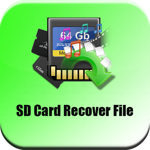 SD Card Recover File