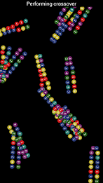 Genetic Algorithm Explorer poster 2