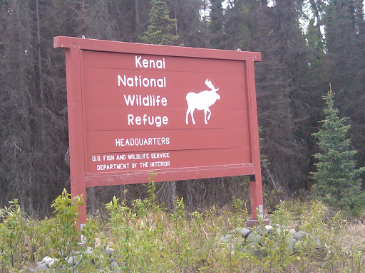 Kenai Wildlife Refuge