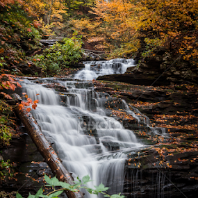 Mohican Falls by Michael Sharp - Landscapes Waterscapes