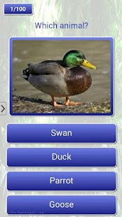Free Download Which Animal APK for Android