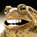 Crazy Frog fun Live wallpaper logo