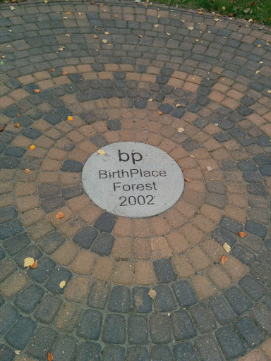 BP Birthplace Forest 2002
