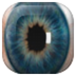 Widget Eye Camera v1.0