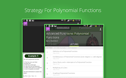 Polynomial Functions Course poster 9