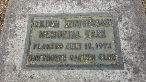 Golden Anniversary July 12 1972 Memorial Tree
