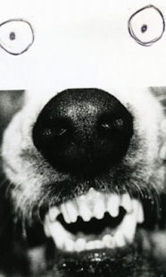 How to mod Crazy dog drawing Live WP 1.0 unlimited apk for pc