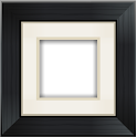 Aviary Frames: Original icon