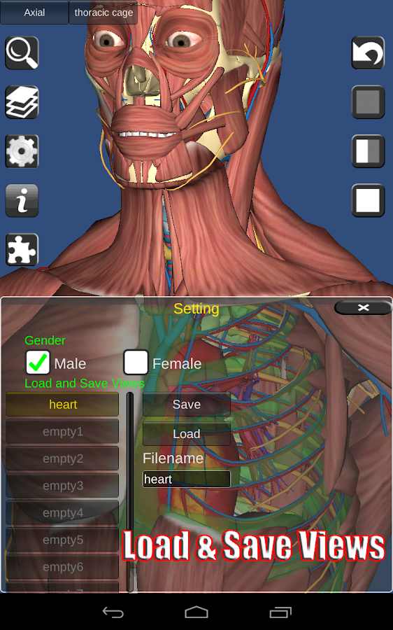 3D Anatomy Android Apps on Google Play