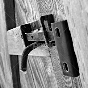 by Michelle Farmer - Artistic Objects Other Objects