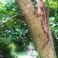 沐心泉休閒農場