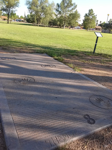 Hole 8 Placard at Conocido Disc Golf Course