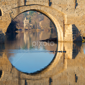Pont Vieux by Paul Atkinson - Buildings & Architecture Bridges & Suspended Structures