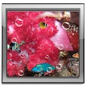 Cool fish Live Wallpaper
