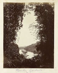 Zicht over de rivier en de botanische tuinen van peradinya in Kandy