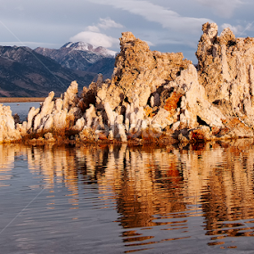 Close Up Tufa by Colin Stewart - Nature Up Close Rock & Stone