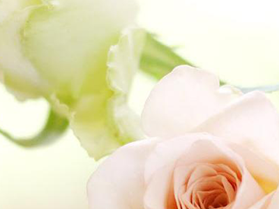 白い 薔薇 待ち受け 画像 の最高のコレクション すべての美しい花の画像