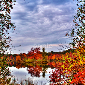 by Dave Martin - Landscapes Mountains & Hills