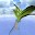 Lily of the Valley 3D Postcard Download on Windows