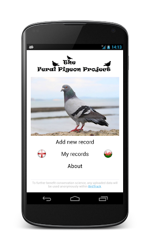 Feral Pigeon Project