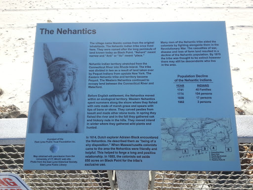 The Nehantics