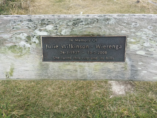 Julie Wilkinson Wierenga Memorial