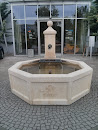 Fuchsbrunnen