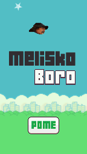 Melisko Boro Bird