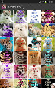 Keep Calm 4 PUPPIES