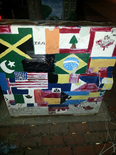Flags of the World Box