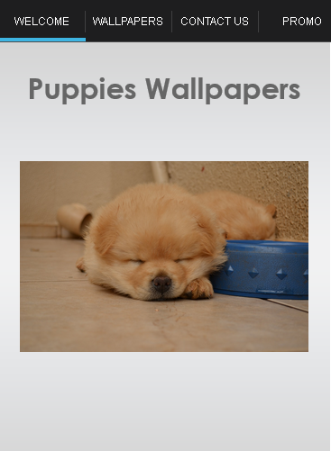 Puppies Wallpapers