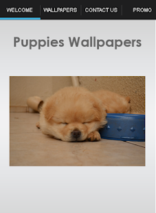 How to get Puppies Wallpapers patch 1.0 apk for laptop