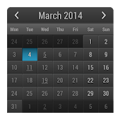 Month Calendar Widget