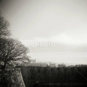 Dawn in Osaka by Wylia Watkins - Landscapes Sunsets & Sunrises