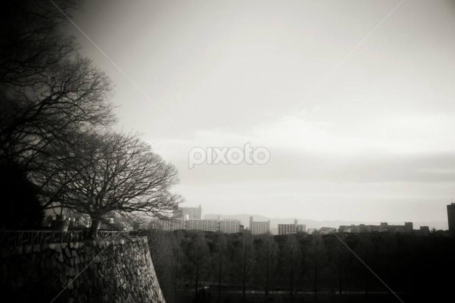 Dawn in Osaka by Wylia Watkins - Landscapes Sunsets & Sunrises