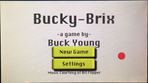 Bucky-Brix