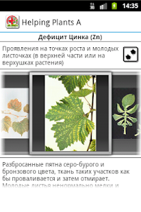 How to install Helping Plants A pro lastet apk for bluestacks