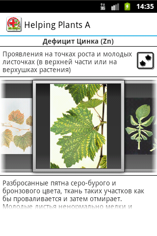 Helping Plants A pro Screen 2